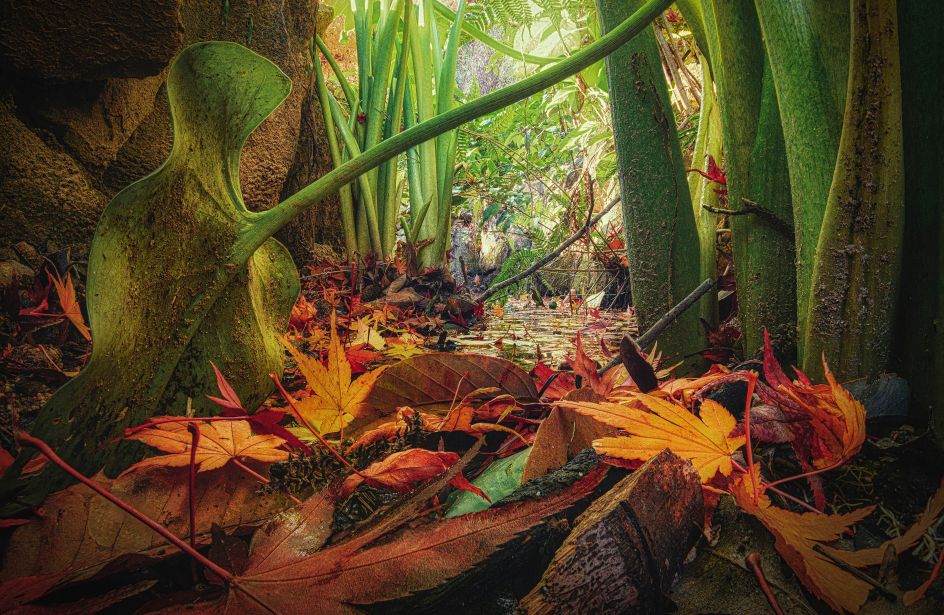 Miniature Size Landscape Photography by Katsuhiro Ohkuchi, winner in the Photography and Photo Manipulation Design Category, 2020-2021.