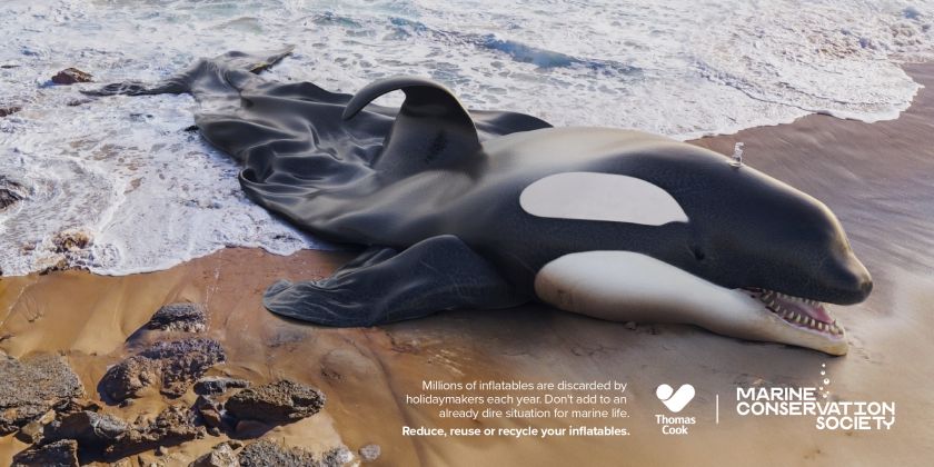 McCann deflates a dolphin to stop people abandoning their inflatables