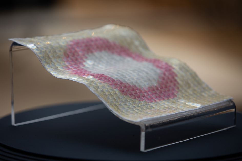 2019 MullenLowe NOVA Award Runner Up:  Elissa Brunato, MA Material Futures, ‘Bio Iridescent Sequin’