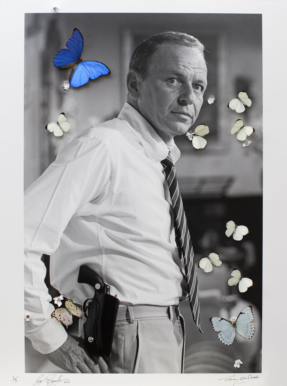 Frank, by Bran Symondson