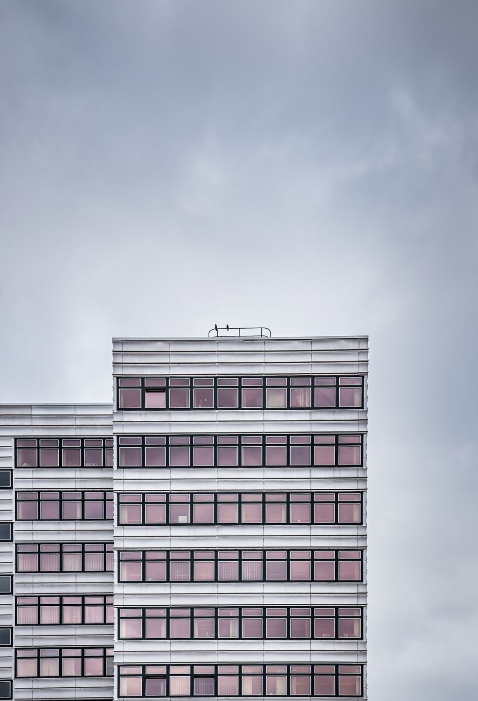 ©Sandra Jordan Courtesy of L A Noble Gallery