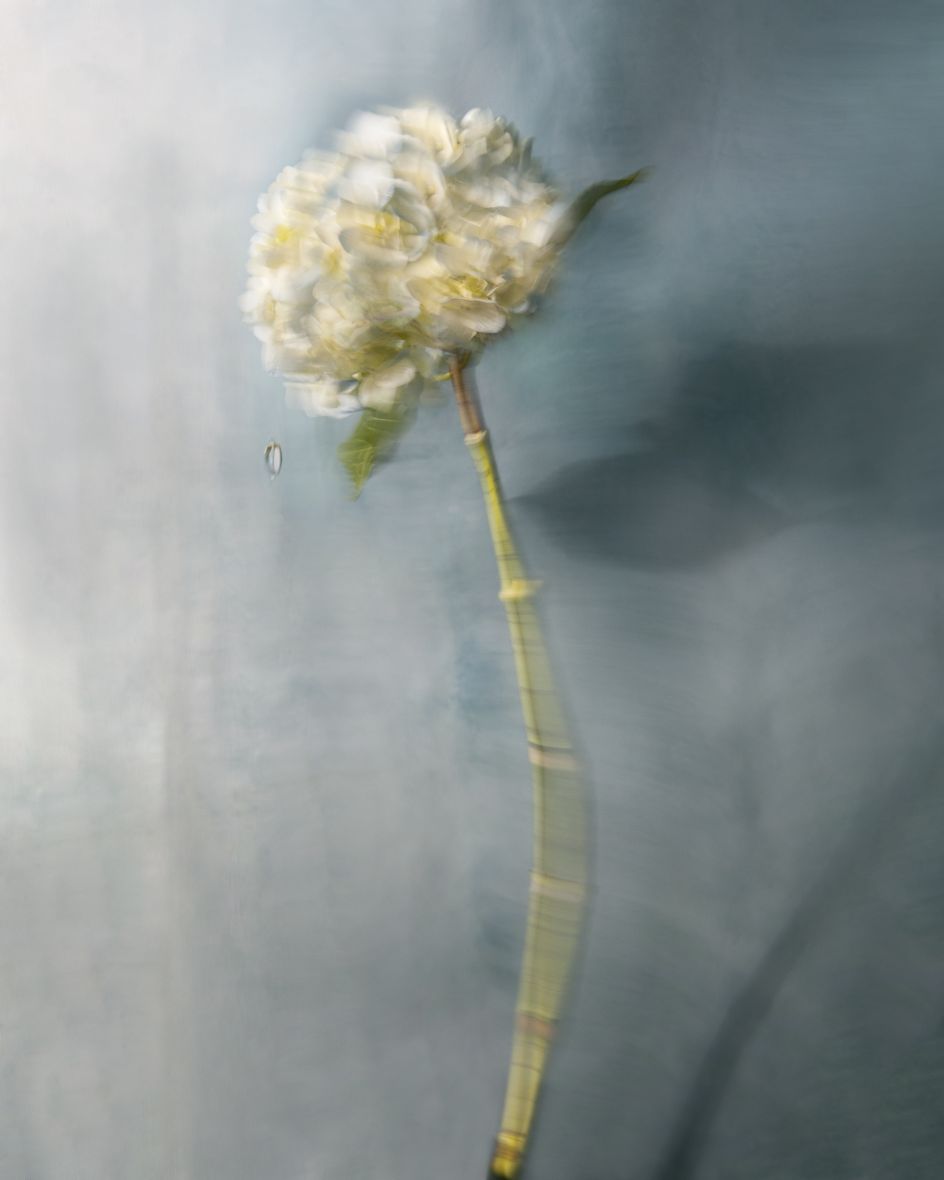 From the series Appearances © Barbara Cole