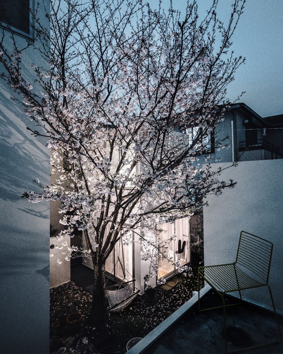 Office of Ryue Nishizawa Moriyama House, 2005 Photo: Takae Satoshi