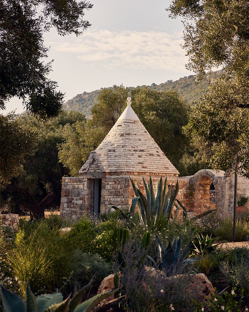 Here Design helps bring taste of Puglia to London, with new olive oil branding