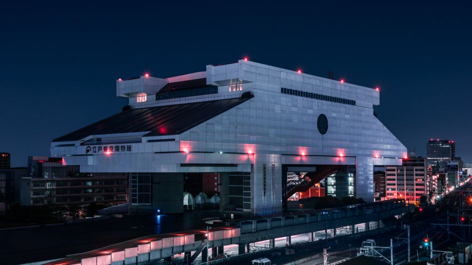 Edo Bulldog © Tom Blachford