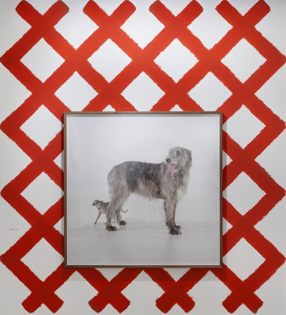 Martin Creed - Work No. 1096 2011. Infront of Martin Creed's wall painting © Martin Creed. Courtesy Galerie Rüdiger Schöttle