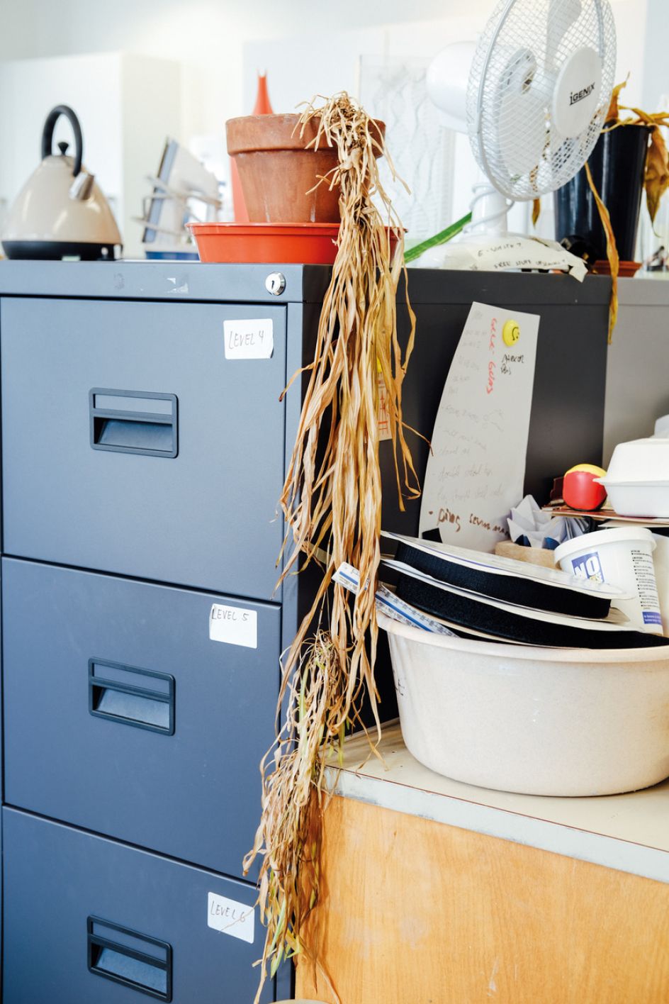 © Ricky Adam, from the series and zine, Don't You Forget About Me