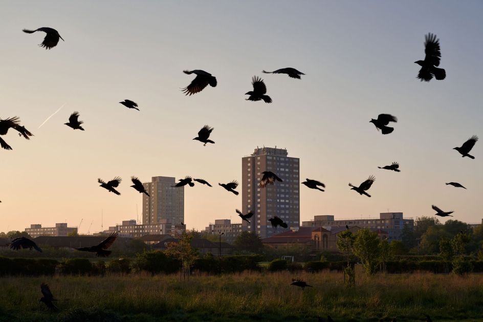 Interregnum © Greg White