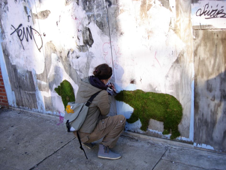 Credit: Edina Tokodi