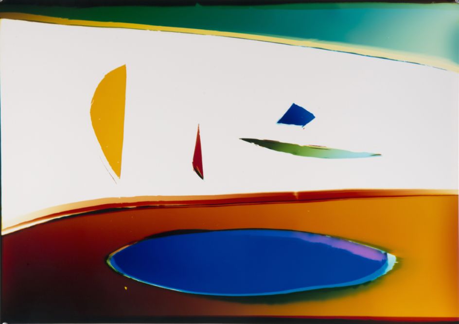 Day at the Lake, 2018 © Liz Nielsen, courtesy of Black Box Projects