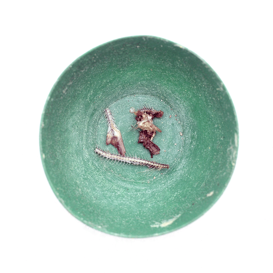 Chis de Bode/ British Red Cross