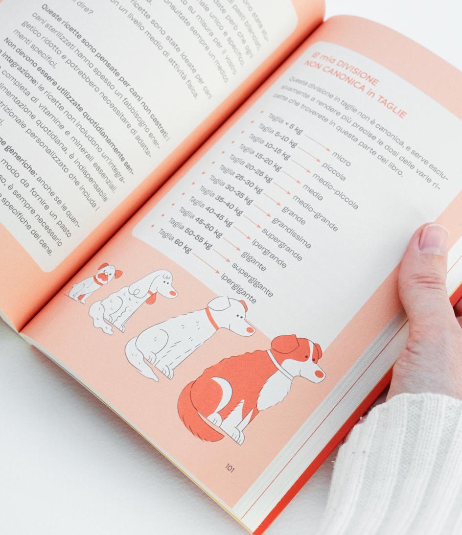 Quattro zampe a tavola – by Alice Chierichetti.  • Book cover and interior illustrations, published by DeAgostini, 2025