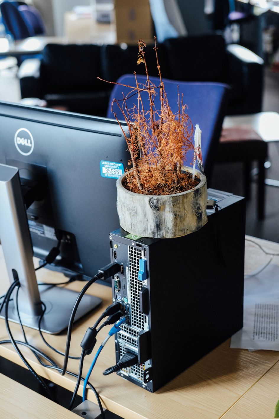 © Ricky Adam, from the series and zine, Don't You Forget About Me