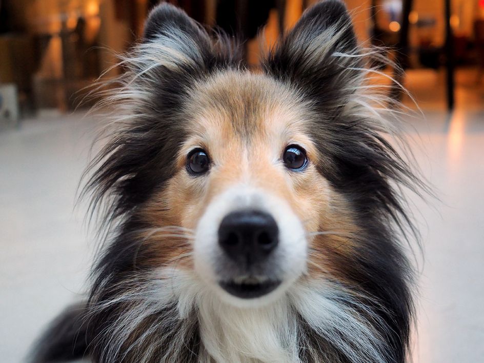 Lessie at Digital Fans