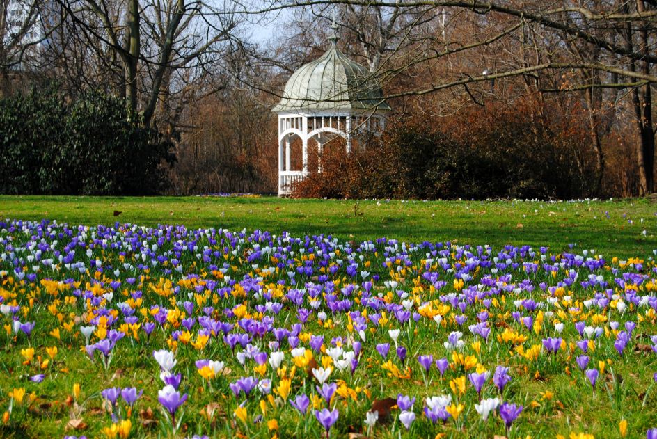 Clara Zetkin Park. Photo: Andreas Schmidt