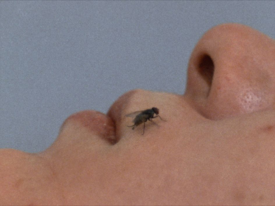 Still from the film FLY directed by Yoko Ono and John Lennon © 1970 Yoko Ono