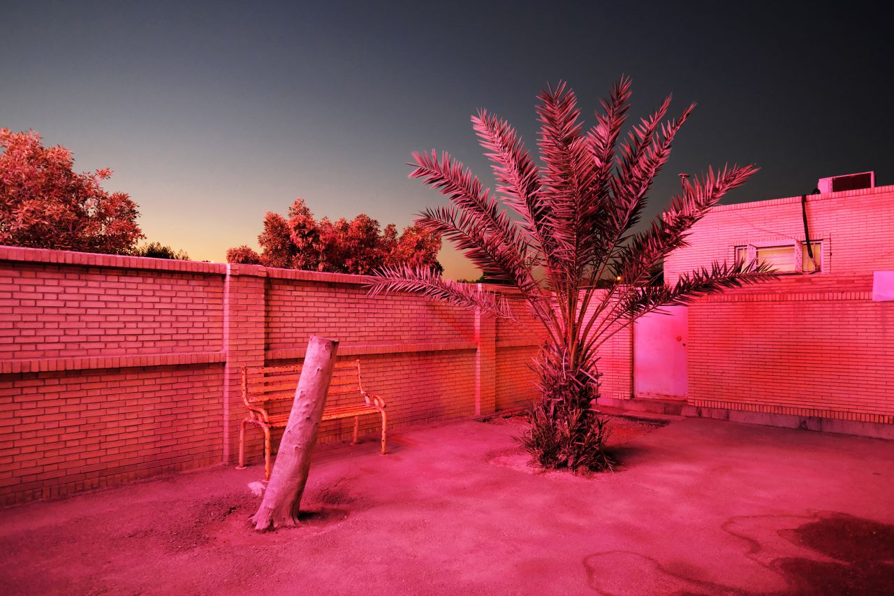 From Paradise City © Sebastien Cuvelier