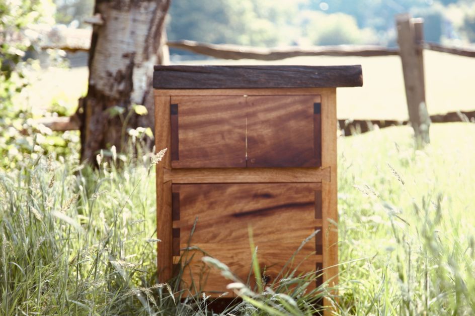 Image credit: Abdollah Nafisi