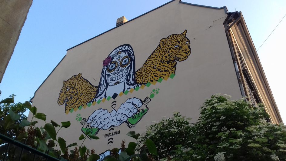 Street art in Connewitz, a vibrant area of the city still infliuenced by squatting culture