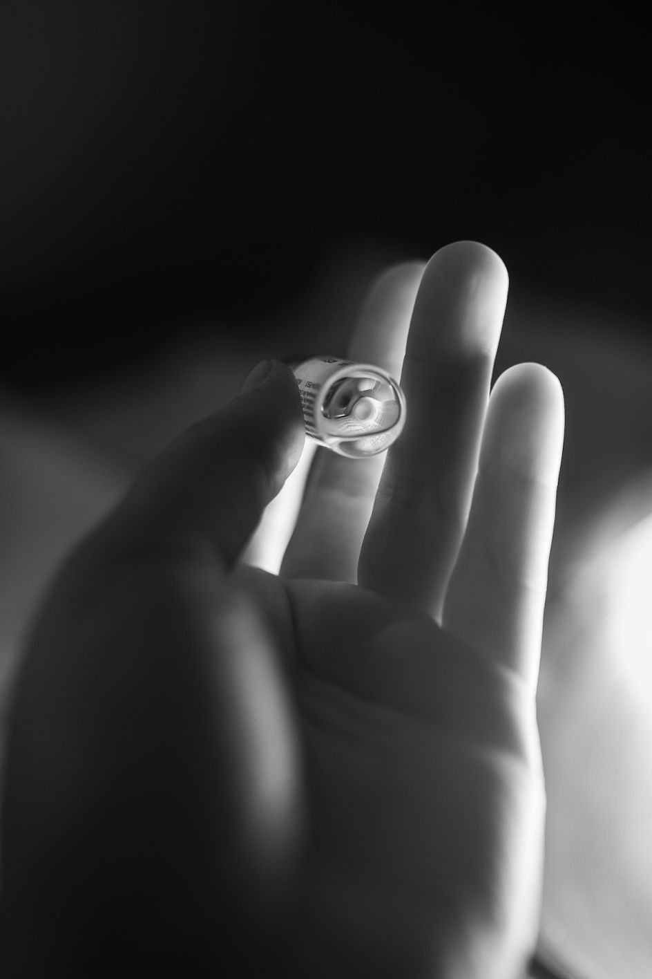 Elle Pérez, t, 2019