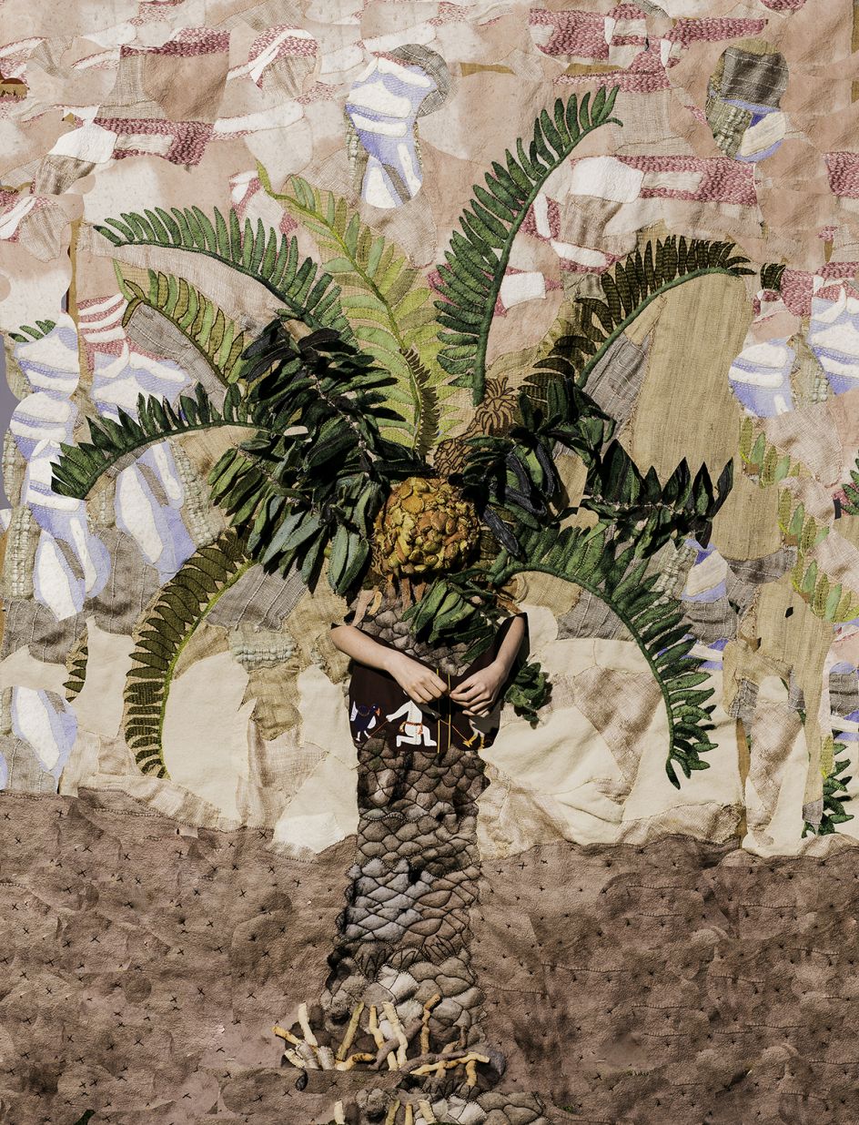 Potato Palm in Full Sun, 2016 © Nico Krijno courtesy Beetles + Huxley