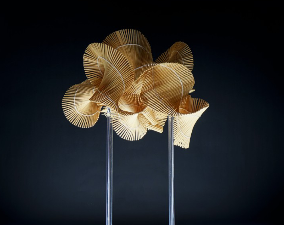 Wood Storm Desktop Installation by Naai-Jung Shih, winner in the Arts, Crafts and Ready-Made Design Category, 2017-2018.