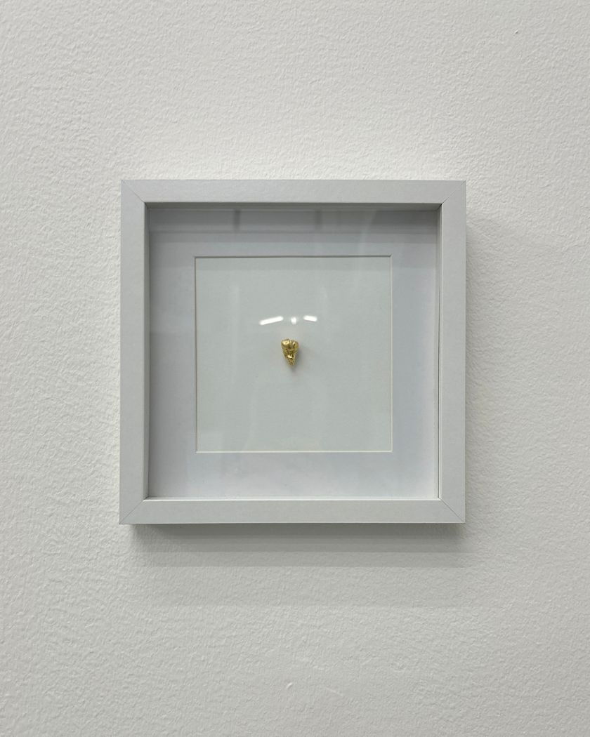 Wisdom, 2026, Sarah Boris