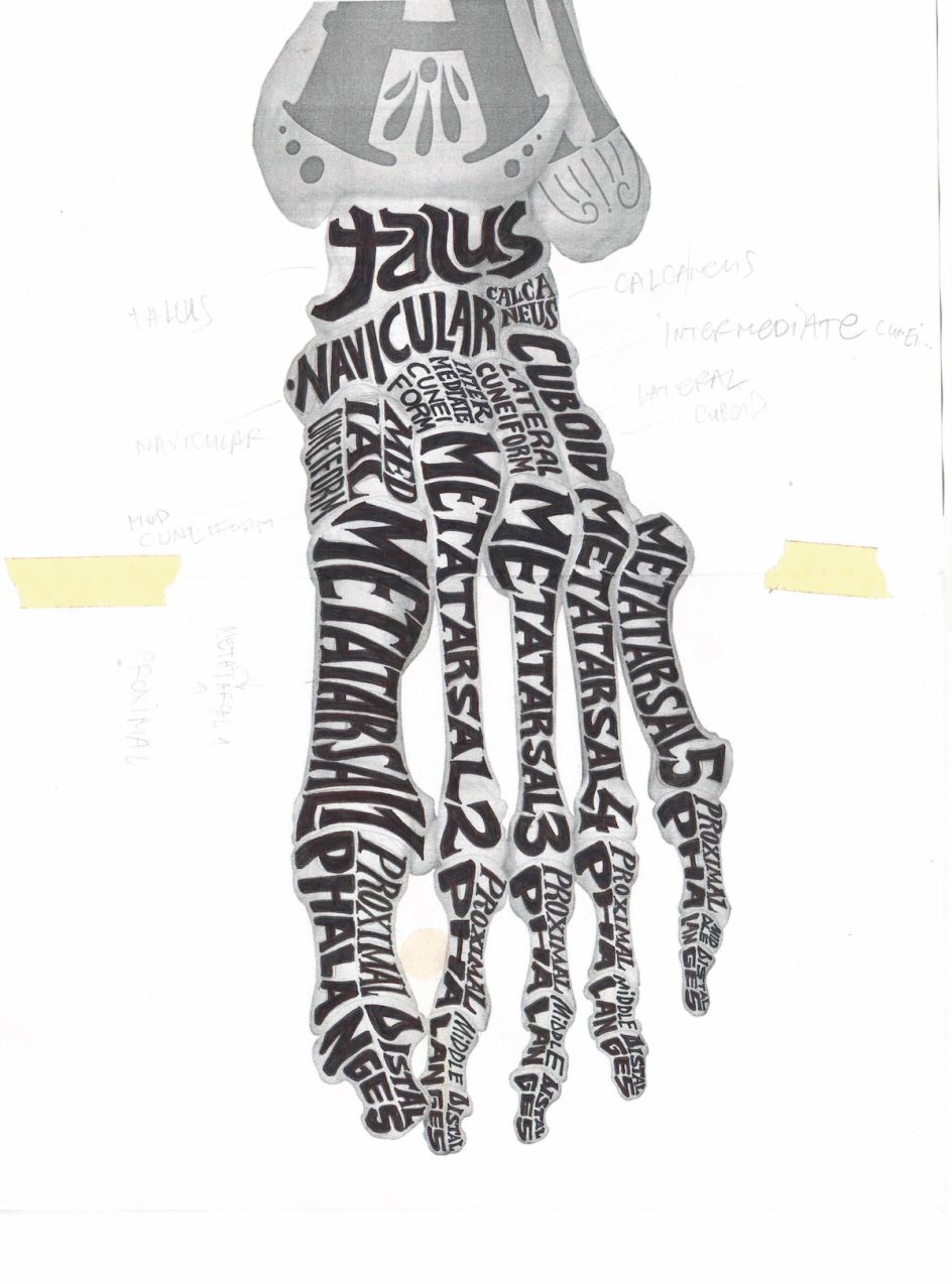 © Jovan Shpira Obradovic