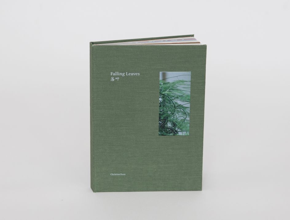 Falling Leaves © Christina Poon