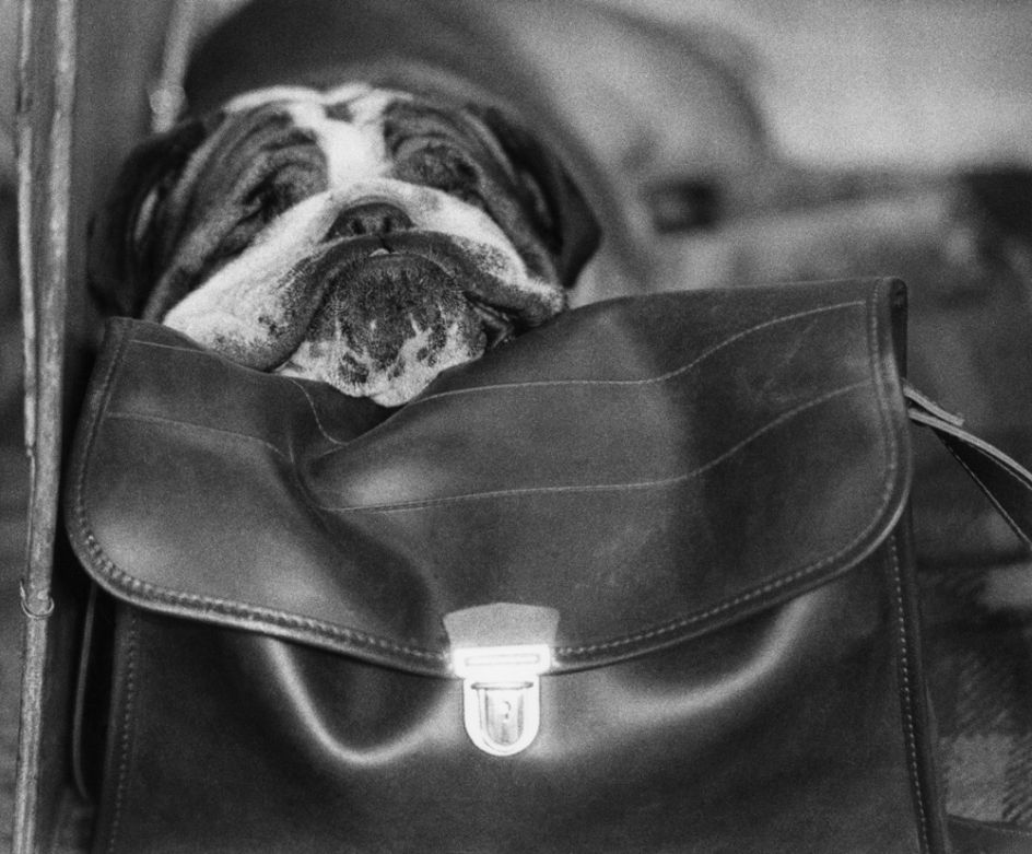 © Estate of Shirley Baker/Mary Evans Picture Library