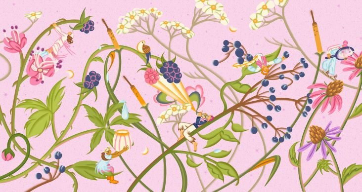 The Secret Language of Flora