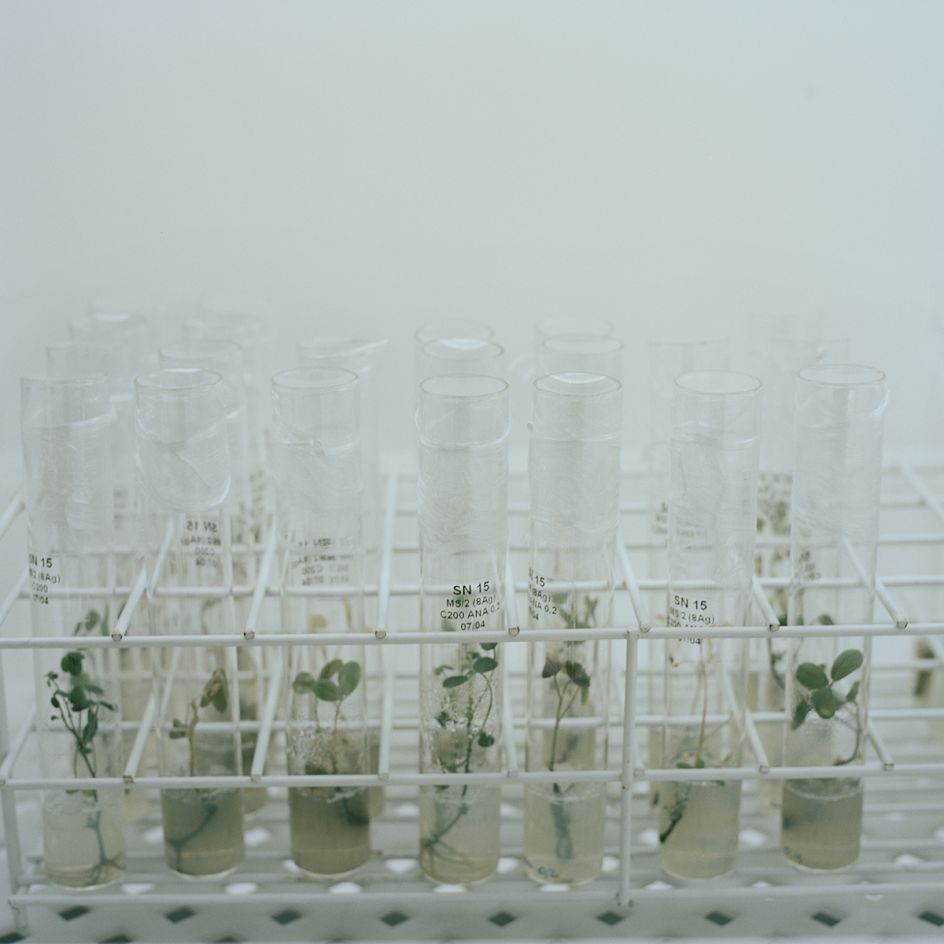 © Jordi Ruiz Cirera, courtesy Francesca Maffeo Gallery