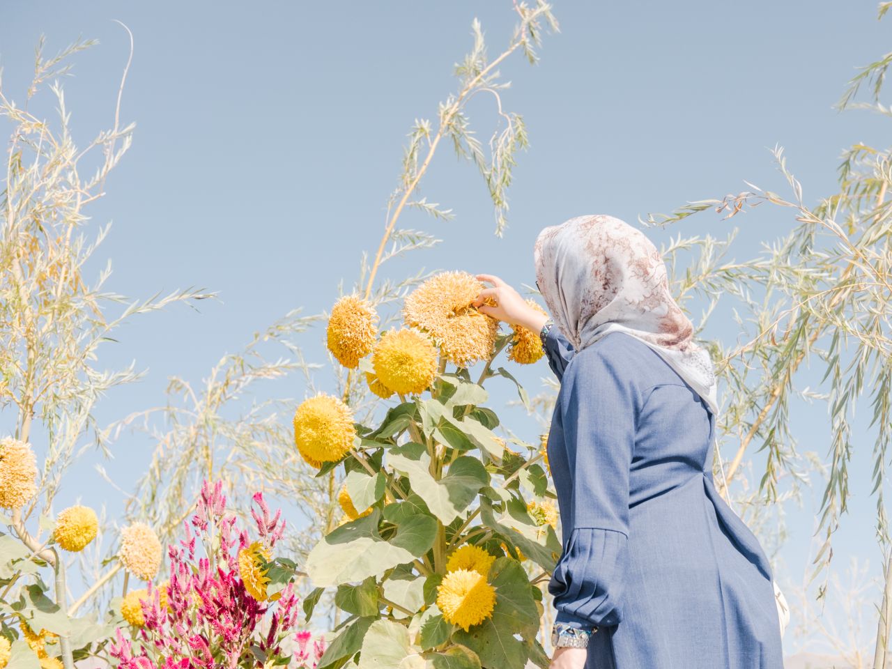 Fading Flamingos © Maximilian Mann, Germany, Shortlist, Professional, Environment, 2020 Sony World Photography Awards