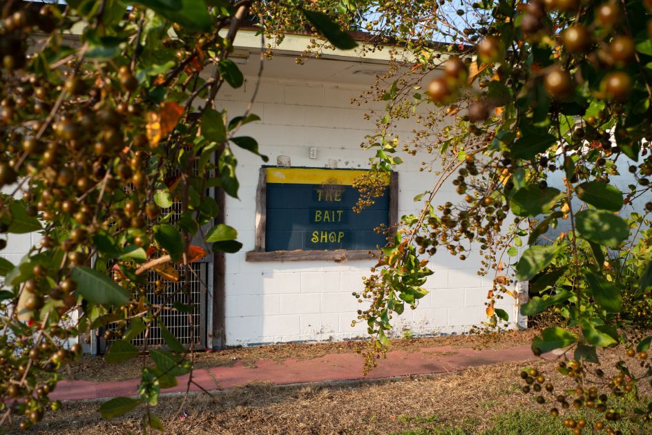 © Peter Stitt, from the book A Southern Verse, published by Daylight Books