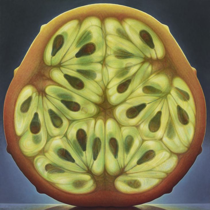 © Dennis Wojtkiewicz