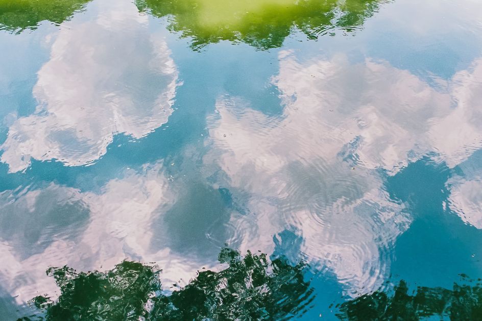 © Bryce Watanasoponwongs