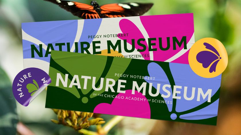 Span takes influence from Illinois's native prairies for Chicago's Nature Museum brand
