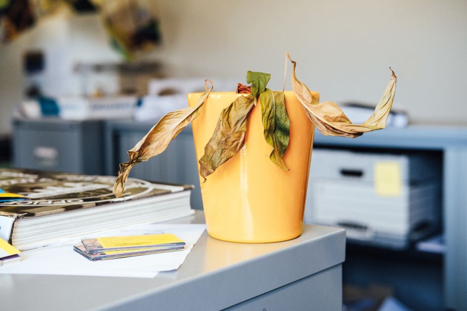 © Ricky Adam, from the series and zine, Don't You Forget About Me