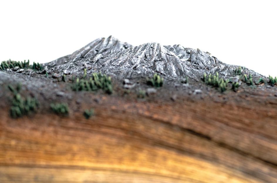 Within Arm's Reach | Christopher David White