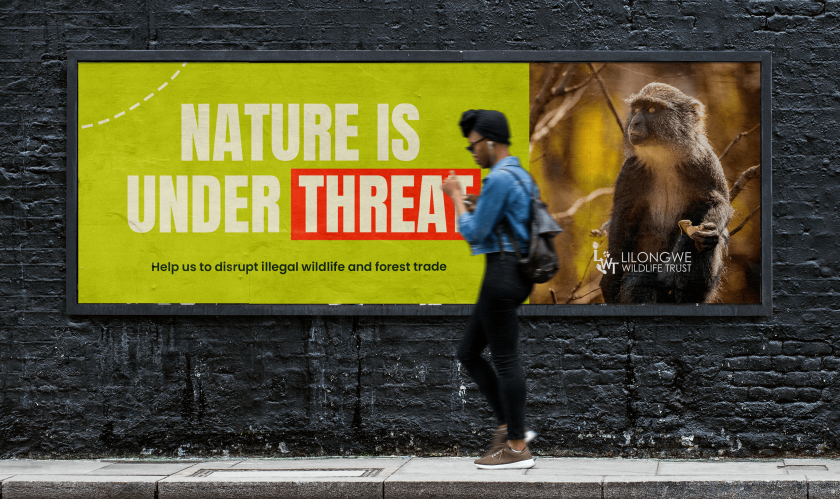 Securing a future for Malawi's wildlife at the heart of brand and website refresh