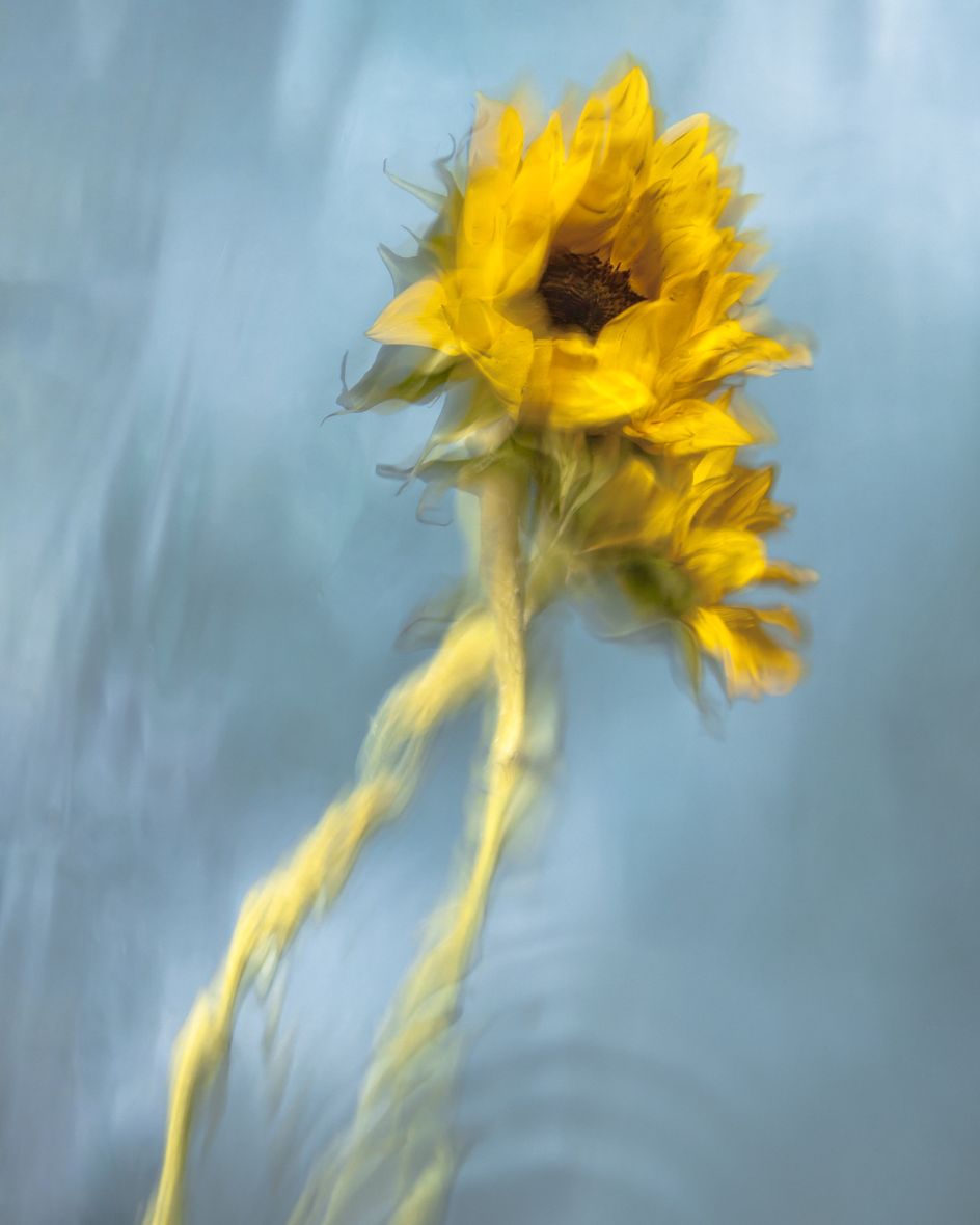 From the series Appearances © Barbara Cole