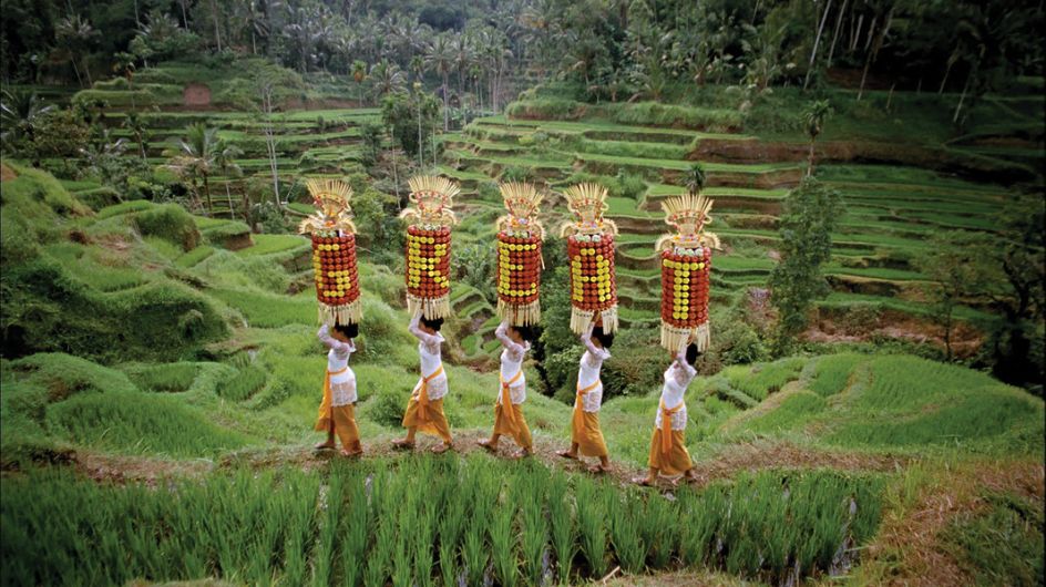 Standard Chartered Commercial