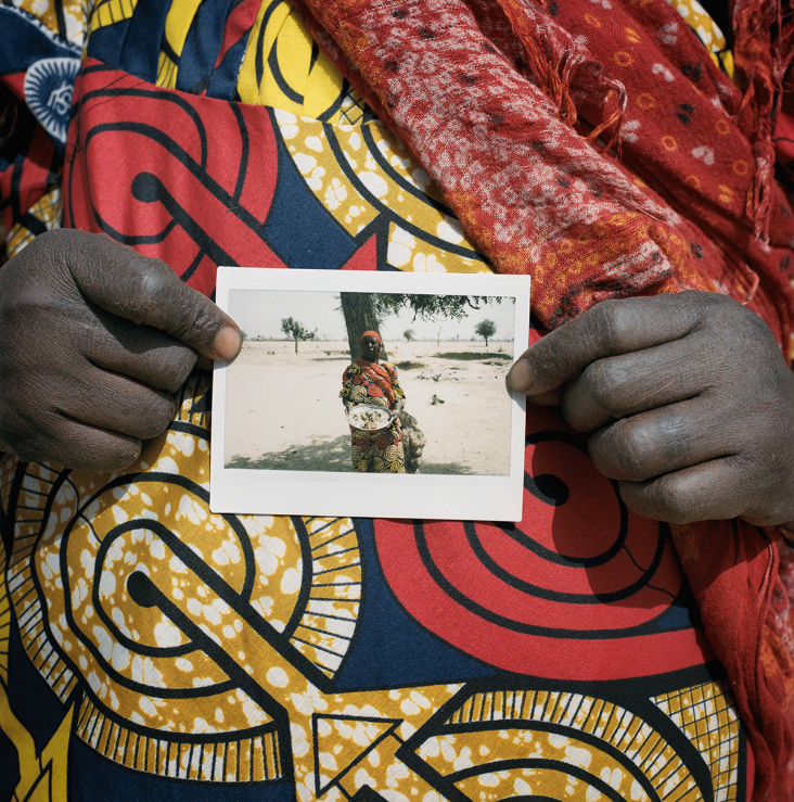 Chis de Bode/ British Red Cross