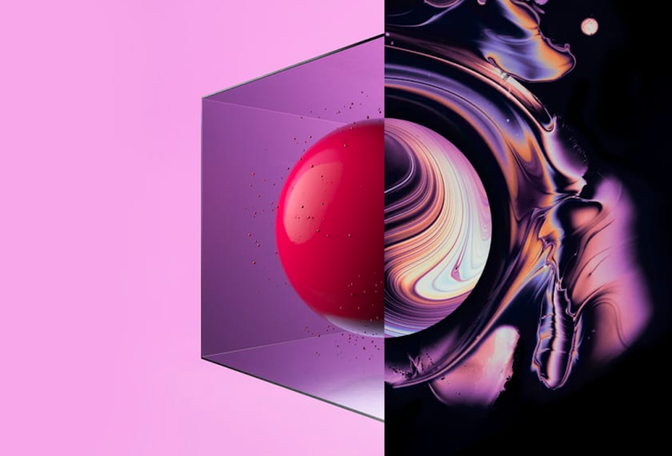 Photography: Davy Evans | Illustration: David McLeod