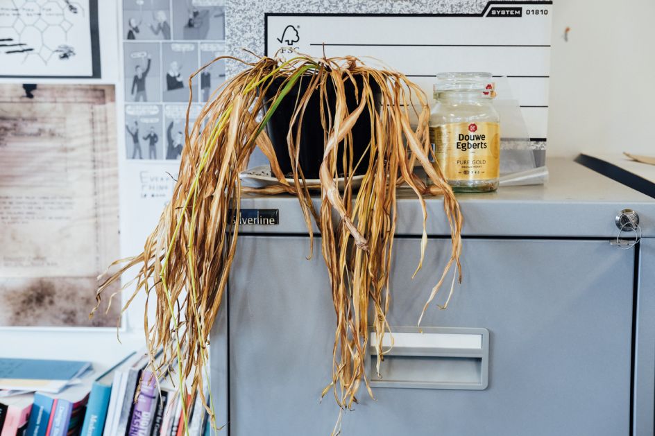 © Ricky Adam, from the series and zine, Don't You Forget About Me