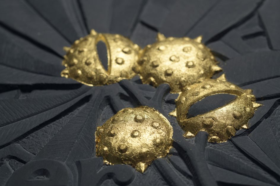 Conker, by Gillian Forbes