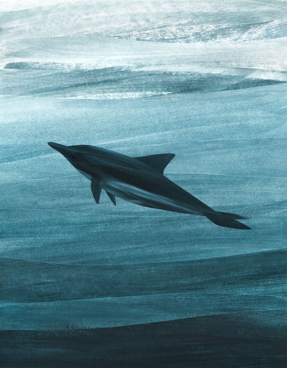 Blue Joy © Mariana K