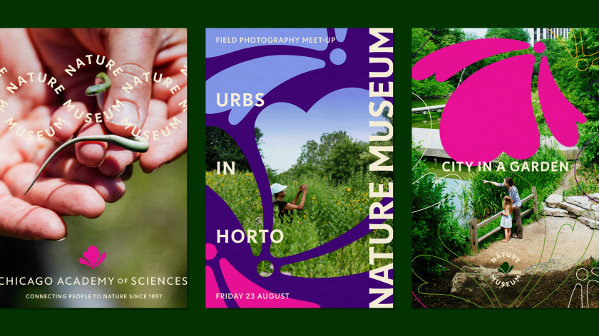 Span takes influence from Illinois's native prairies for Chicago's Nature Museum brand