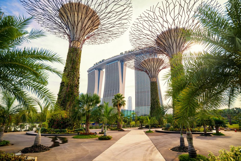 The Supertree at Gardens by the Bay. Image courtesy of [Adobe Stock](https://stock.adobe.com/)