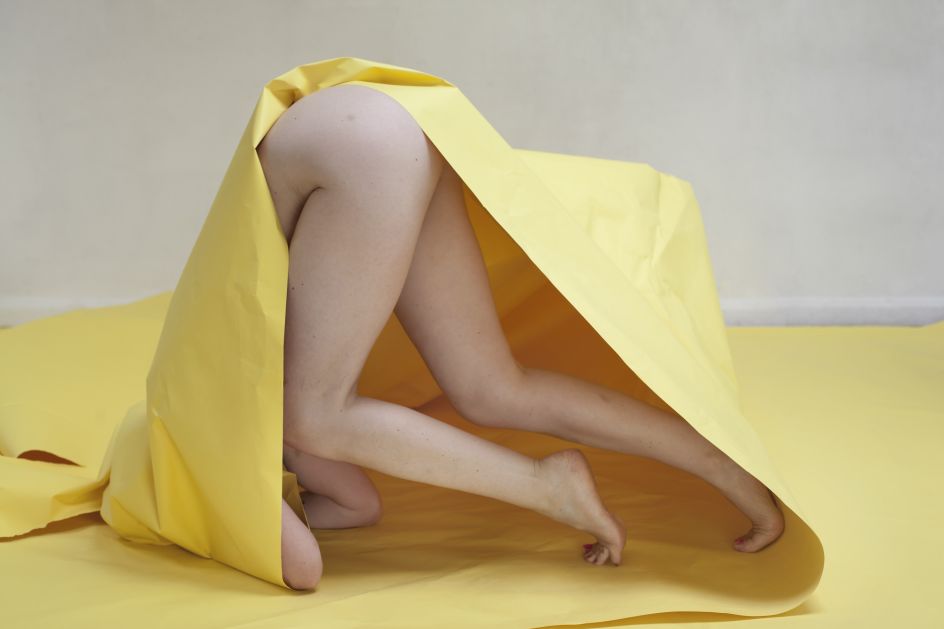 Paperwork, Dandelion, July 2015, © Polly Penrose